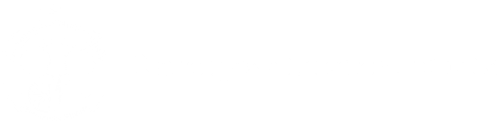 Naranjas Valencia, Comprar Naranjas en Valencia, Venta de Naranjas Almenar Cubells